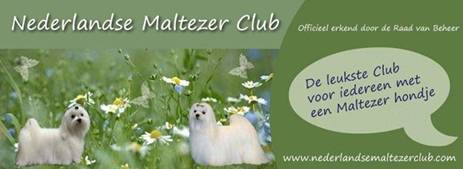 Logo NMC website.jpg